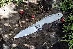 Ніж складаний Ruike P128-SF - мініатюра 5