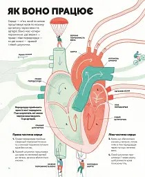 Серце. Історія, наука і багато любові - Ноемі Фабра - мініатюра 8