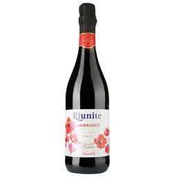 Упаковка ігристого вина Riunite Lambrusco Emilia Rosso IGP червоне напівсухе 4.5 л (0.75 л х 6 шт.) - мініатюра 2