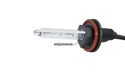 Ксенонова лампа Infolight H11 6000K +50%
