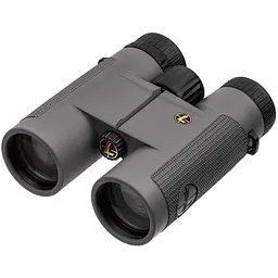 Бінокль Leupold BX-1 McKenzie 10x42 Roof темно-сірий