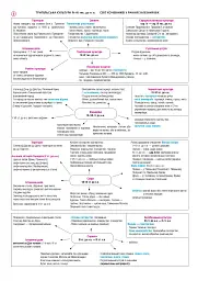 Історія України. НМТ. Опорний конспект. Повний курс у 49 таблицях для підготовки до ЗНО і НМТ. 2026 - мініатюра 4