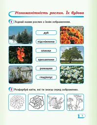 Я досліджую світ. 1 клас. Робочий зошит. Частина 2 - мініатюра 2
