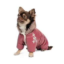 Комбінезон Pet Fashion Cherry ХS2 для дівчаток для собак - мініатюра 2