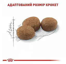 Сухий корм для дорослих стерилізованих кішок та кастрованих котів Royal Canin Sterilised, 4 кг - мініатюра 3