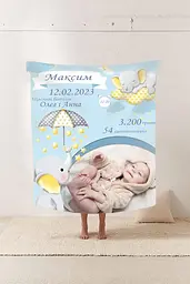 Плед 3D зі своїми побажаннями з метрикою Метриковий плед слоник пухнастик для хлопчика з 1 фото 20222383_C 11566 80х100 см - мініатюра 2