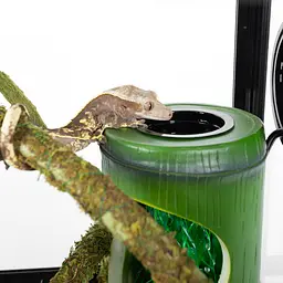 Фонтан для хамелеонів і геконів Repti-Zoo Bamboo (DF02) - мініатюра 3