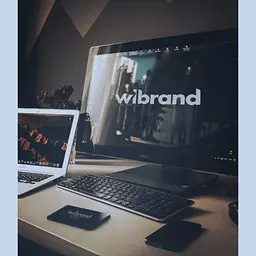 Накопичувач SSD Wibrand Spider 960 GB 2.5" 7 mm SATA3 - мініатюра 2