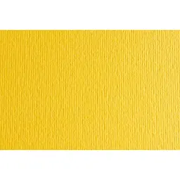 Папір для дизайну Fabriano Elle Erre В2 (50x70см) №25 cedro 220г/м2 жовтий дві текстури