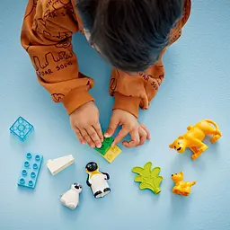 Конструктор LEGO DUPLO Сімейства диких тварин: Пінгвіни та Леви, 10 деталей (10442) - мініатюра 6
