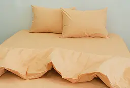 Постільна білизна (Apricot Cream) Євро TAG tekstil pbe0028348 - мініатюра 2