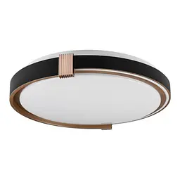 Cвітильник COLISEUM матовий 60W 395*60мм 3000К-6500К з ДК чорне золото