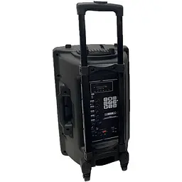 Професійна акустична система XPRO NDR-12 караоке Bluetooth мікрофон RGB пульт (MER-15678_3136) - мініатюра 10