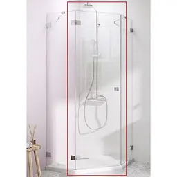 Душові двері Radaway Essenza Pro PTJ 57x200 ліва, безпечне скло, прозоре (10100000-01-01L)