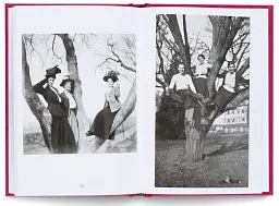 Women in Trees - мініатюра 3