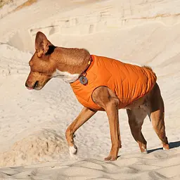 Жилет Pet Fashion E.Vest для собак, розмір S, помаранчевий - мініатюра 7