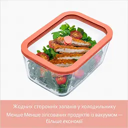 Набір з 4-х предметів (3 вакуумних контейнерів Viva та ручний вакуумний насос), лососевий (131200) - мініатюра 10