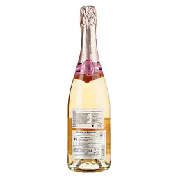 Вино ігристе Baron d'Arignac Rose Demi-Sec, рожеве, напівсухе, 11%, 0,75 л (37341) - мініатюра 2