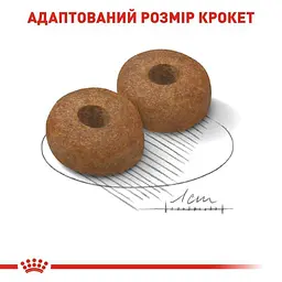 Сухий корм для старіючих собак великих порід Royal Canin Maxi Ageing 8+, 15 кг (2454150) - мініатюра 3