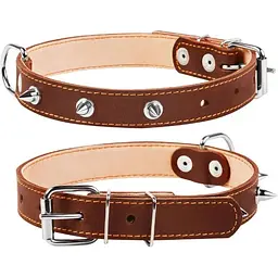 Нашийник для собак Collar подвійний з шипами (4820082496524)