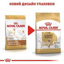 Сухий корм для дорослих собак породи Лабрадор Ретрівер Royal Canin Labrador Retriever Adult, 3 кг (2487030) - мініатюра 2