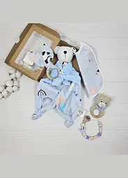 Набір для малюка: ведмедик, гризунець, слинявчик a.l.babybox Панда на кульках