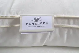 Подушка Penelope - Imperial Luxe 70x70 - мініатюра 4