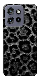 TPU чехол Demsky Black leo для Motorola Edge 50 Neo