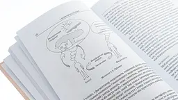 Метафоричний Розум — Джеймс Лоулі, Пенні Томпкінс | Смакі, книга українською, нова, тверда - мініатюра 2