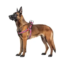 Шлея для собак WAUDOG Nylon з QR паспортом "Єдинороги" пластиковий фастекс XL (324-0013) - мініатюра 3