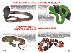 Велика книга Кристал Бук Отруйні змії (F00021418) - мініатюра 3