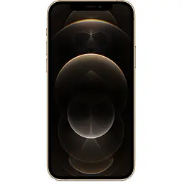 Смартфон Apple iPhone 12 Pro Max 256Gb Gold [MGDE3] [50891] - мініатюра 2