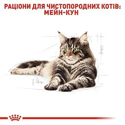 Сухий корм для дорослих котів мейн-кун Royal Canin Maine Coon Adult, з м'ясом птиці, 2 кг - мініатюра 3