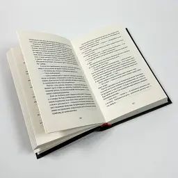 Танець недоумка- Павлюк Ілларіон | Видавництво Старого Лева, книга українською, нова, тверда - мініатюра 3