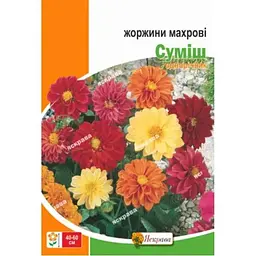 Жоржина ЯСКРАВА махрові суміш максі (10 пачок) 2г