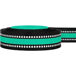 Повідець для собак BronzeDog Mesh, розмір S, 200х1,6 см, ментоловий - мініатюра 5