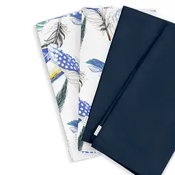Набір із 4-х серветок 30х30 MINT FEATHER & DARK BLUE SATIN COSAS (4822052067321)