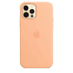 Чохол Silicone Case з MagSafe для Apple iPhone 12 / 12 Pro (Cantaloupe) ААА [57145] - мініатюра 9