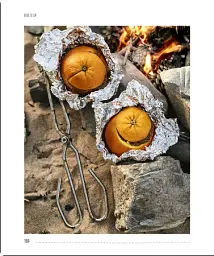The Campfire Cookbook - мініатюра 7