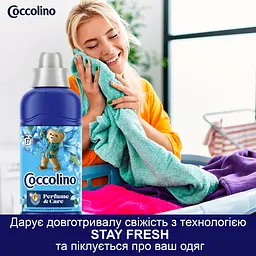 Кондиціонер для білизни Coccolino Perfume & Care Пасифлора бергамот цитрусові лілія та мускус 925 мл (64894931) - мініатюра 5
