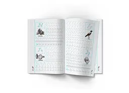 Книга Прописи-тренажер. Українська мова. Пишемо по клітинкам 2446 shop (9786175472446) - мініатюра 2