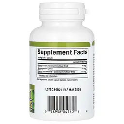 Екстракт чорниці Bilberry 40 mg 60 Capsules Natural Factors vit0006038 - мініатюра 2