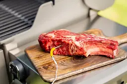 Датчик до електронних термометрів Weber iGrill 1 шт. (7211) - мініатюра 3