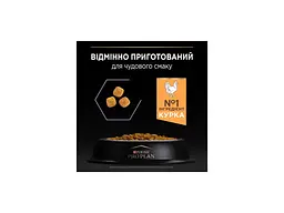 Сухий корм для кішок Purina Pro Plan Original Kitten з куркою 400 г (7613036545099) - мініатюра 6