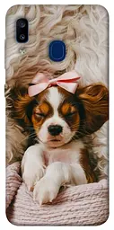 TPU чохол Demsky Sleepy spaniel для Samsung Galaxy A20 / A30
