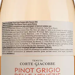 Вино Tenuta di Corte Giacobbe Pinot Grigio Ramato delle Venezie DOC, рожеве, сухе, 0,75 л - мініатюра 4