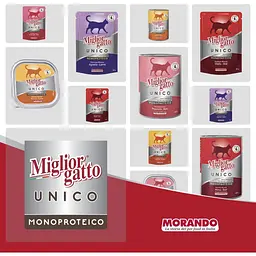 Вологий корм для котів Morando Migliorgatto Unico Rustic індичка 400 г - мініатюра 4