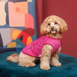 Майка-борцовка Kale Pet Fashion для собак M малинова - мініатюра 4