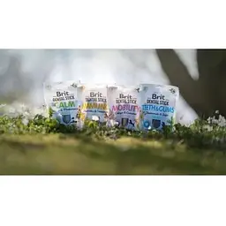 Ласощі для собак Brit Dental Stick Immuno для міцного імунітету, пробіотики та кориця 7 шт. 251 г - мініатюра 6