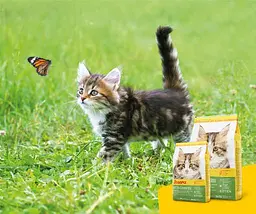 Сухий корм для кошенят Josera Kitten Grainfree, 2 кг - мініатюра 6